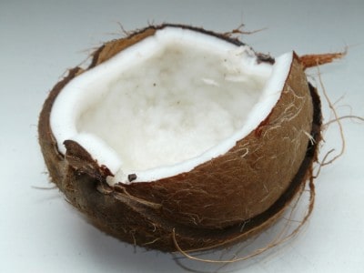 Besonderheiten von Kokos | Premium